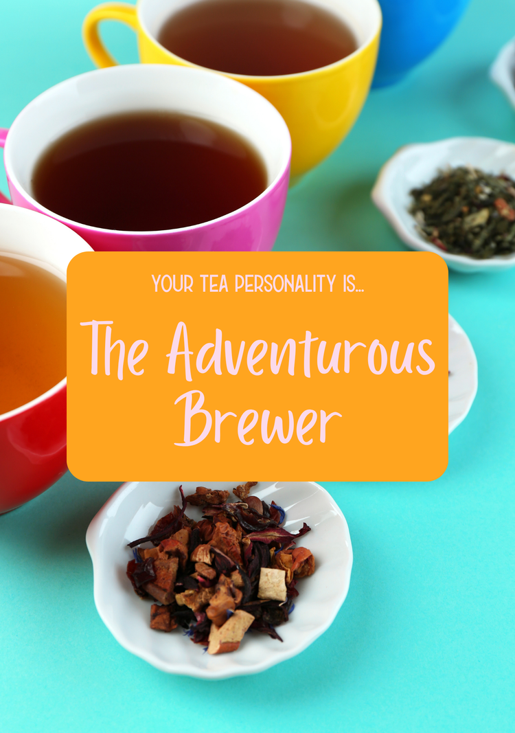 The Adventurous Brewer Collection