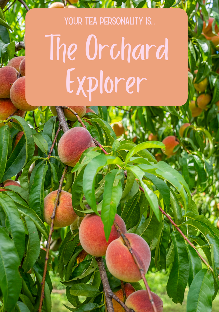 Orchard Explorer Collection